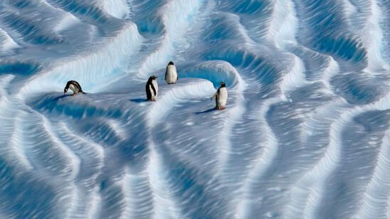 Land of the Long White Cloud